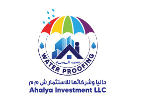 حاليا و شركائها للاستثمار ش م م